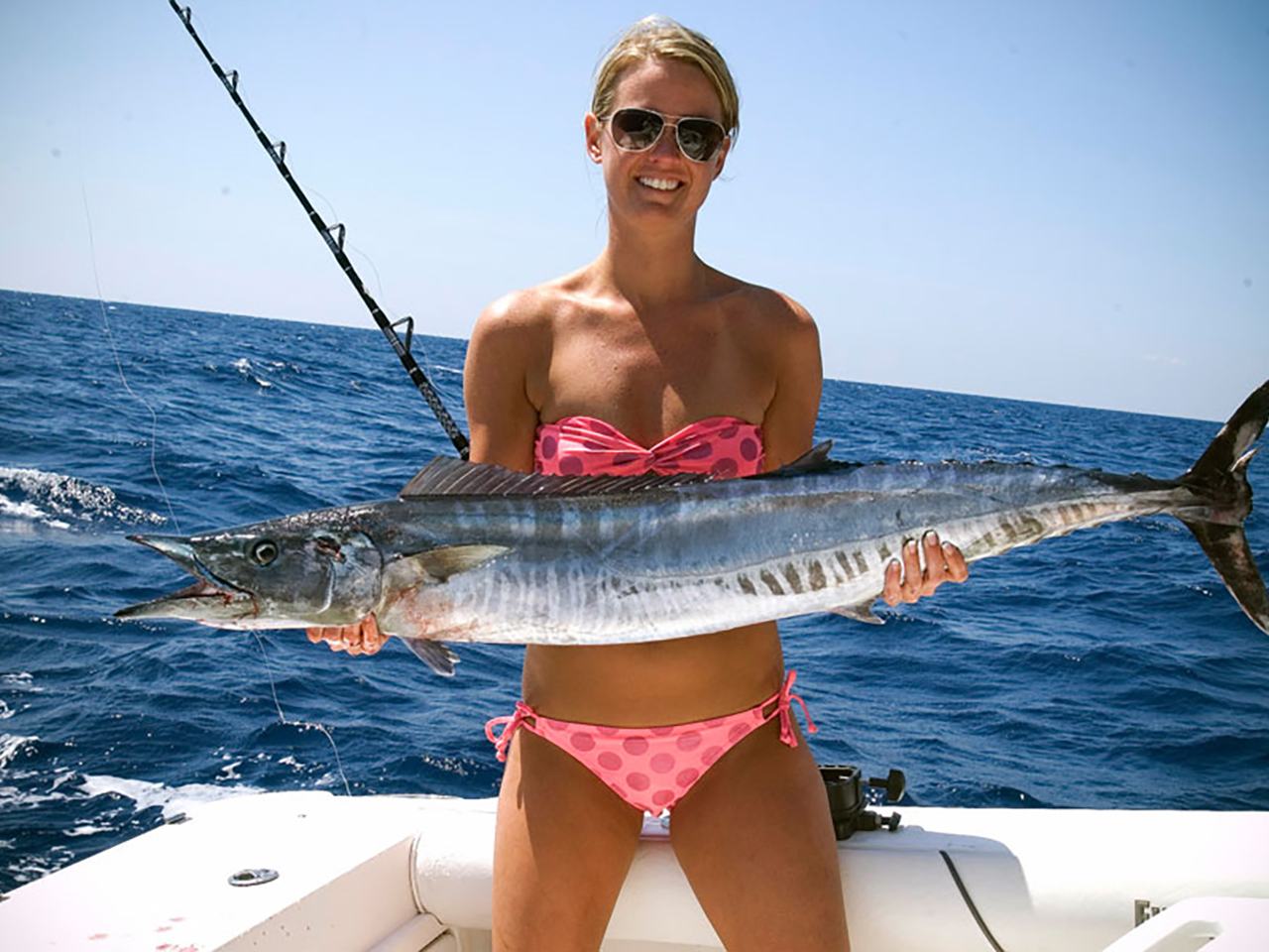 St Pete Beach Fishing  Charters, Deep Sea, and Pier Fishing