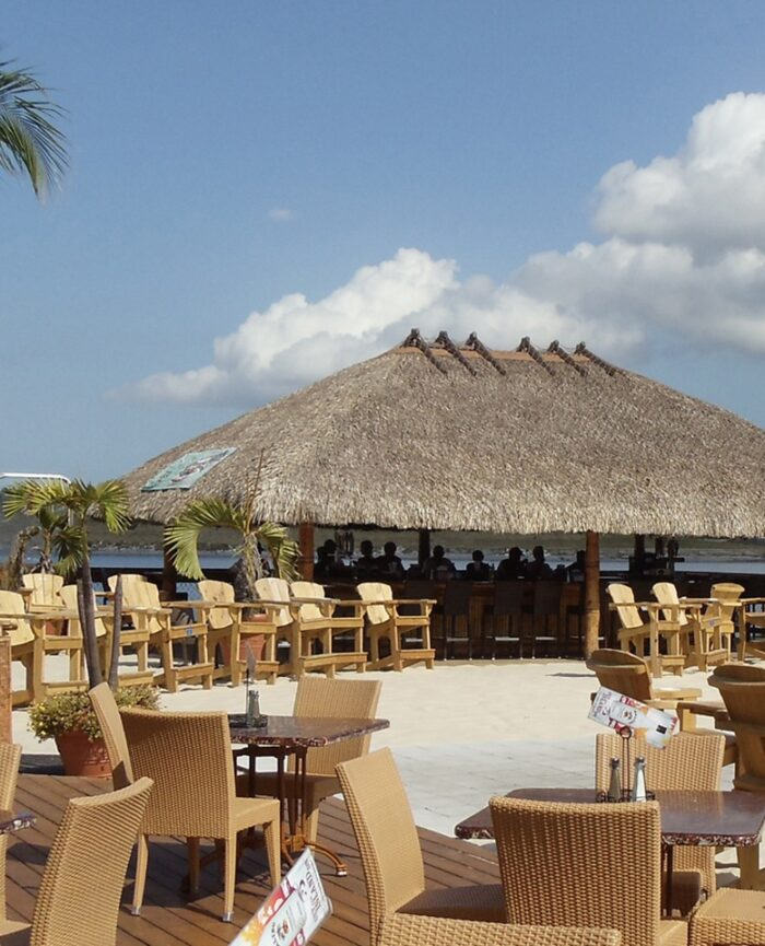 beachbar and palm trees