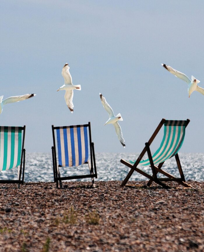 four striped deckchairs and seagulls flying
