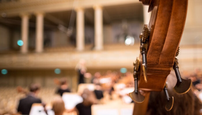 close up of string instrument