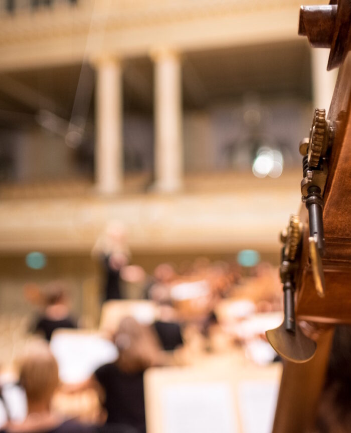 close up of string instrument