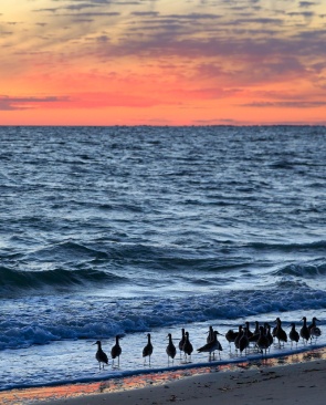 Beachfront Rooms at Inn on the Beach